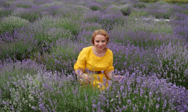 ”Festivalul Lavandei” de la Pecineaga, la a III-a ediție